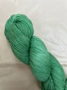 Salicorne